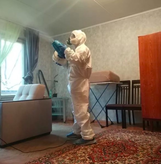 дезинсекция квартиры в Пушкине